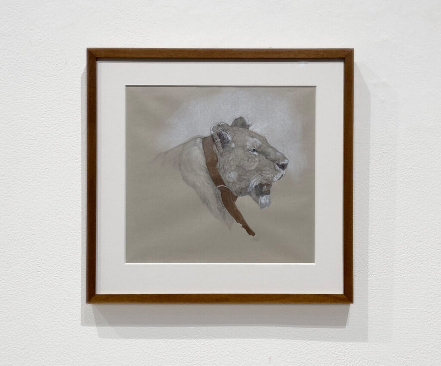 Patricia Traub - Artworks for Sale & More | Artsy