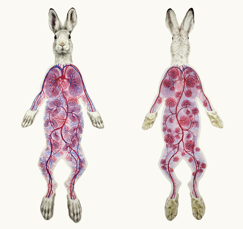 Kami Rabbit Deborah Simon | Rabbit Kami: Illuminated Silkscreen (2021) | Available ...