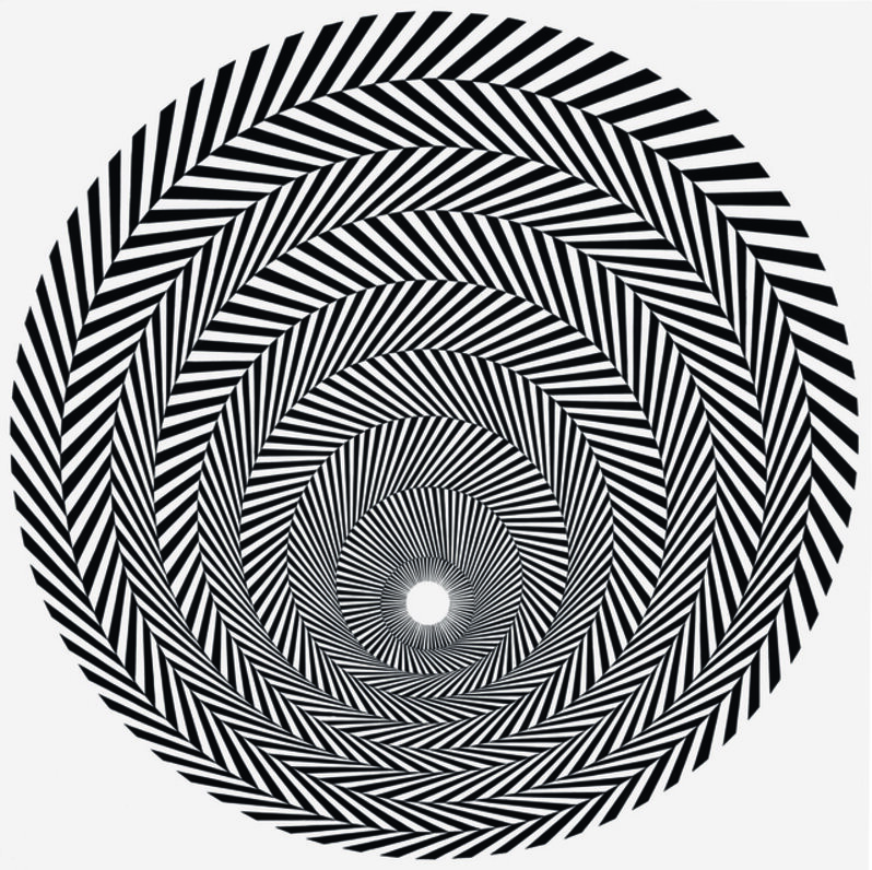 Bridget Riley Rise Blaze 4 (1964) by Bridget Riley | Artsy
