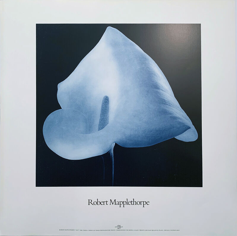 afslappet regional Kemi Robert Mapplethorpe | Lilly for Hotel 21 East, Robert Mapplethorpe Poster,  Gallery Poster (1988) | Available for Sale | Artsy