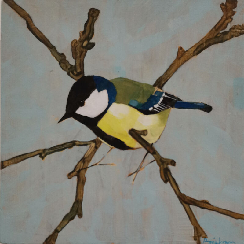 vertaling Pennenvriend Onvoorziene omstandigheden Christopher Rainham | Great Tit on Twigs (2021) | Available for Sale | Artsy