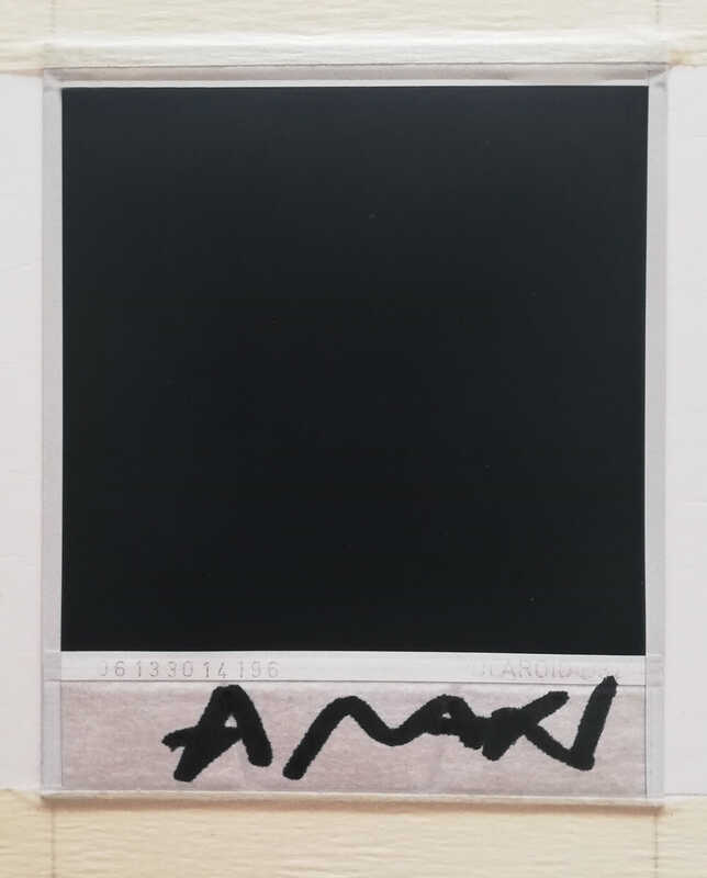 Nobuyoshi Araki Flowers polaroid (2000) Available for Sale Artsy