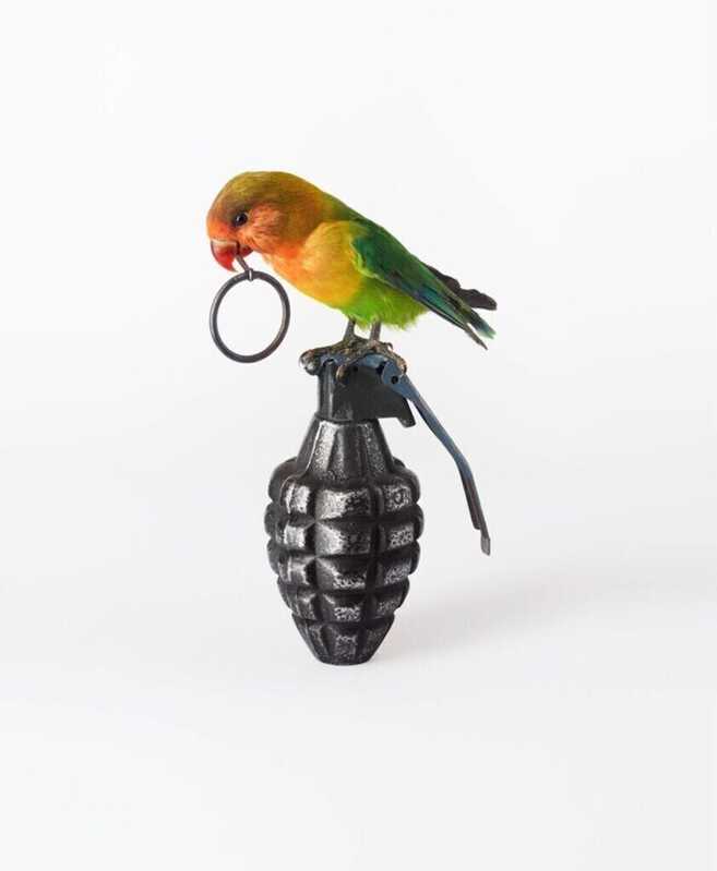 Nancy Fouts Lovebird with Grenade (2012) Artsy