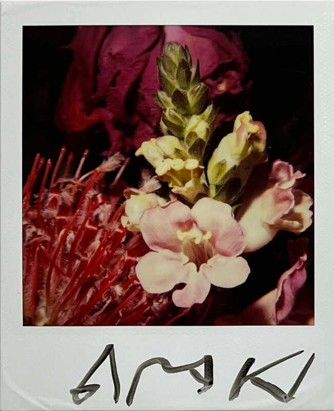 Nobuyoshi Araki Flower polaroid (2000) Artsy