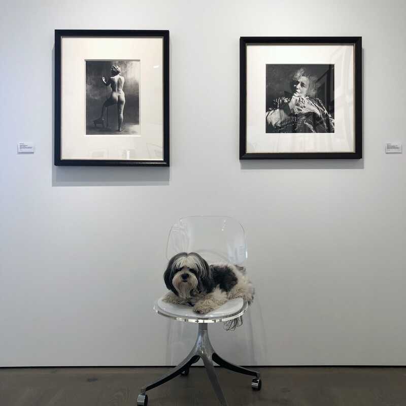 Irving Penn Sculptor's Model, Paris (1950) Available for Sale