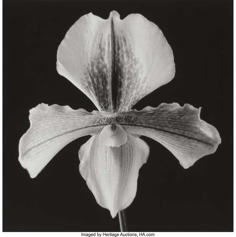 Erkaklar kokrak silash porno Nikoh kechasi jinsiy olatni qanday his qiladi?