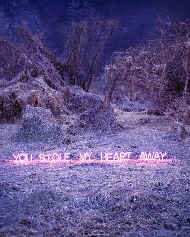 Amfibiekøretøjer Effektiv At bidrage Jung Lee | You Stole My Heart Away (2017) | Available for Sale | Artsy