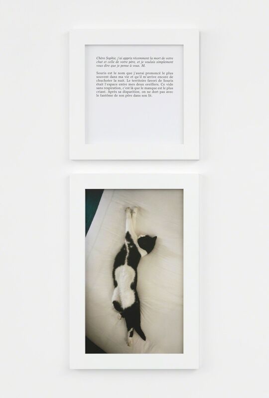 Sophie Calle The Ghost Of Souris 17 Available For Sale Artsy Sophie Calle The Ghost Of Souris 17 Available For Sale Artsy