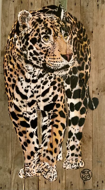 white baby jaguars