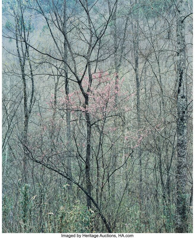Eliot Porter Intimate Landscapes four Photographs 1957 1977 Artsy eliot-porter-intimate-landscapes-four-photographs-1957-1977-artsy