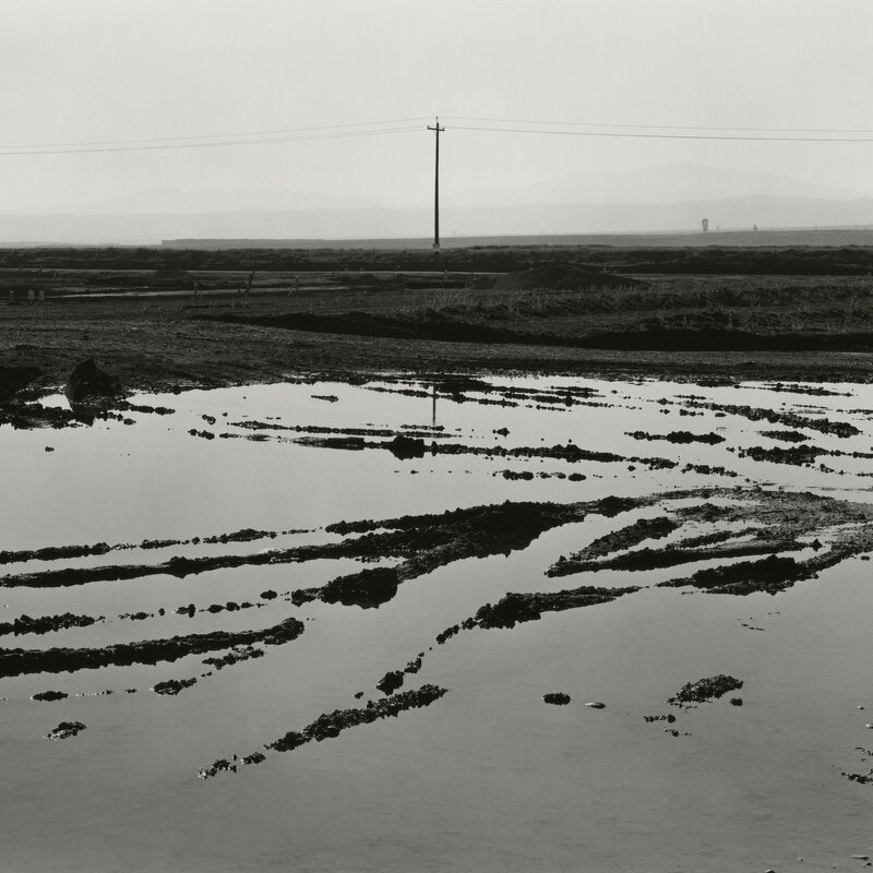 Flooded Landscape from a Leaking Water Storage Truck… (2022) by Ryan ...