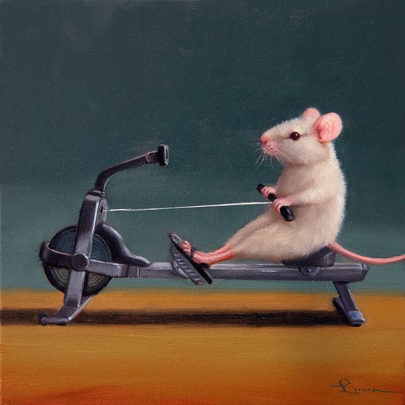 Mind of a gym rat (@MIndOfAGymRat) / X