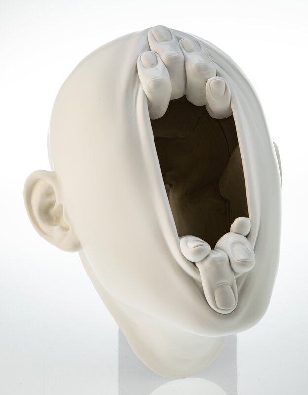 Precautions and potential risks