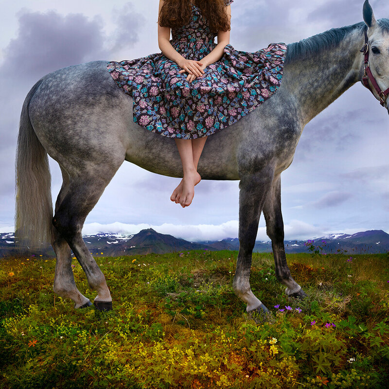 Tom Chambers | Steady My Steed (2022) | Available for Sale | Artsy