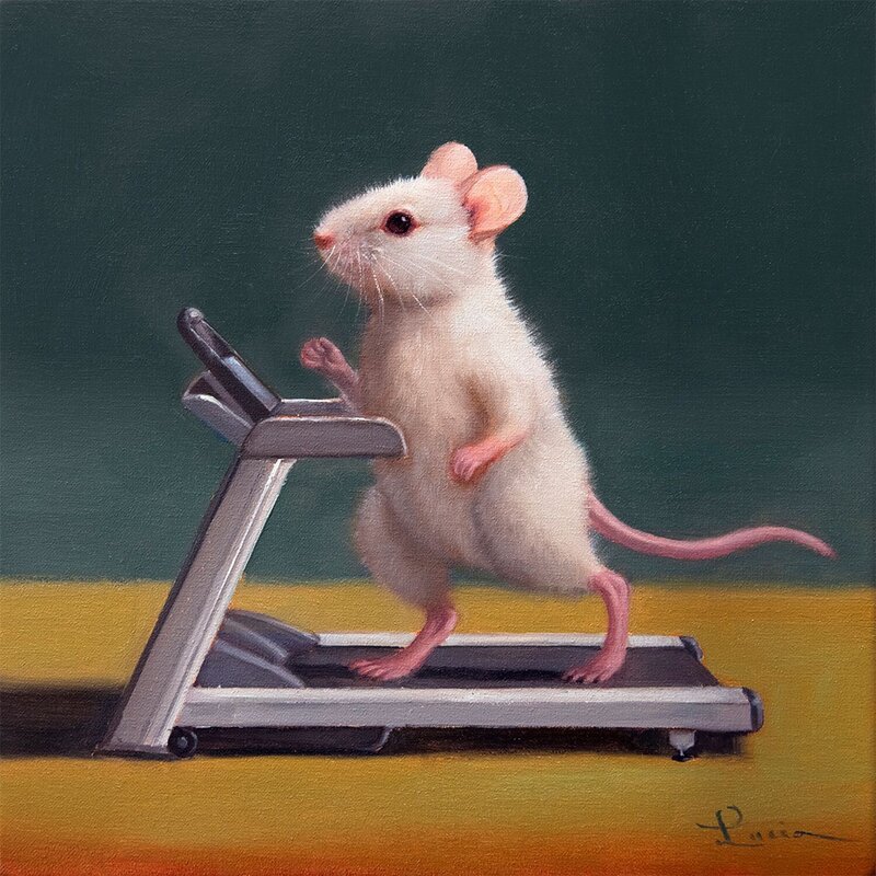 Gym Rats by Lucia Heffernan Canvas Wall Art -  Portugal