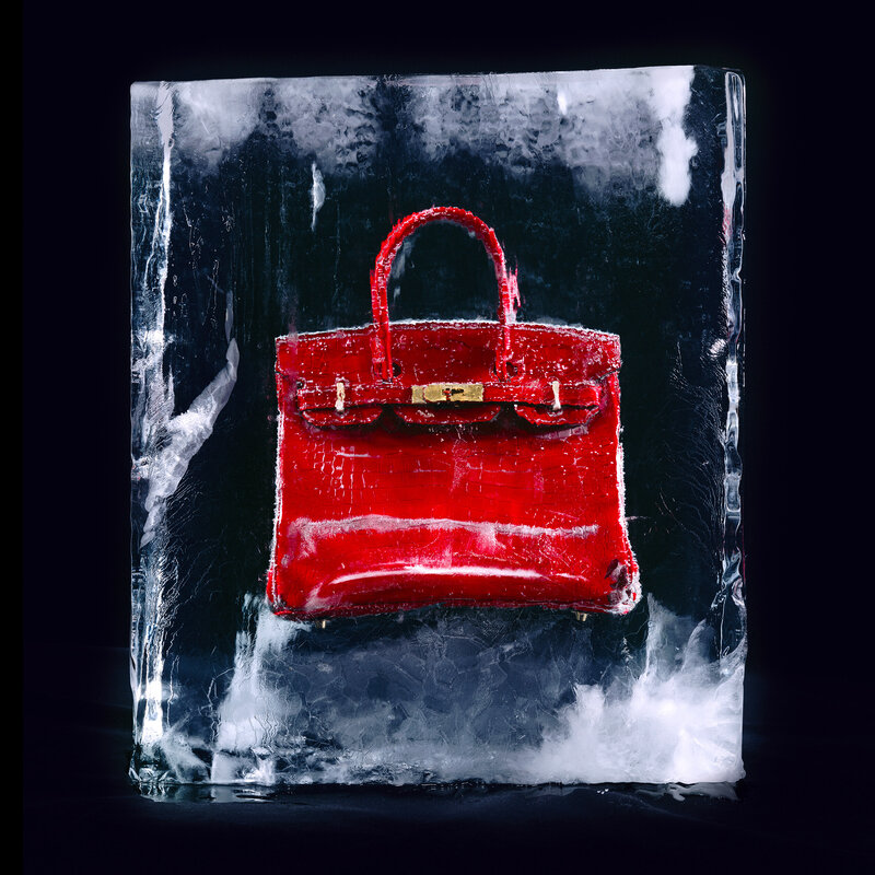 In Need of More Birkin-Based Attention, Tyler Shields Feeds