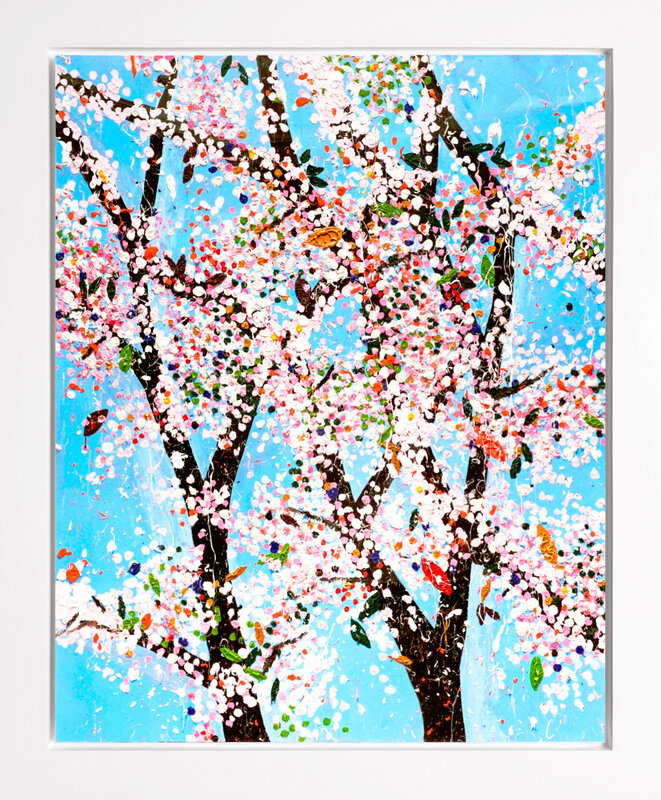 Butterfly Murakami cherry blossom limited edition