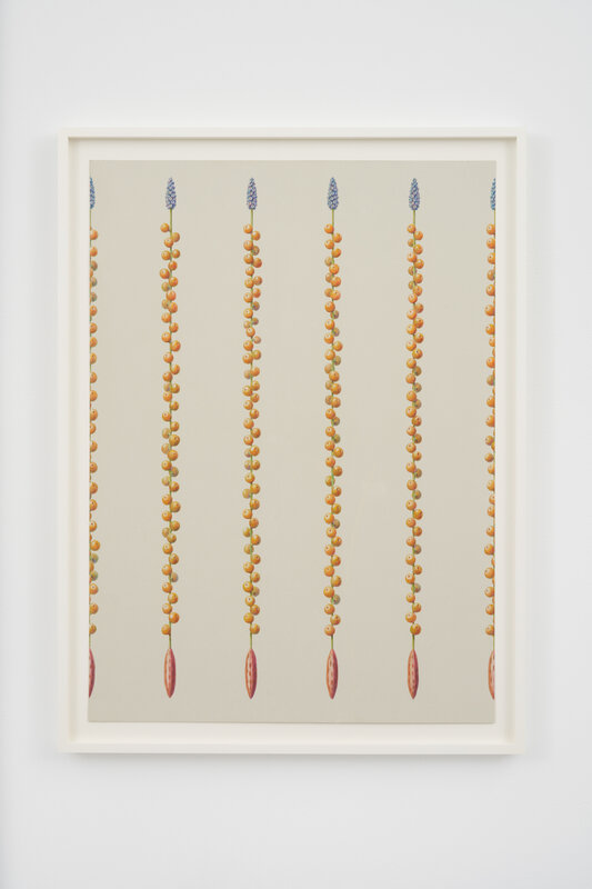 David Thorpe, Emphatic Display Ready to March (2022), Available for Sale