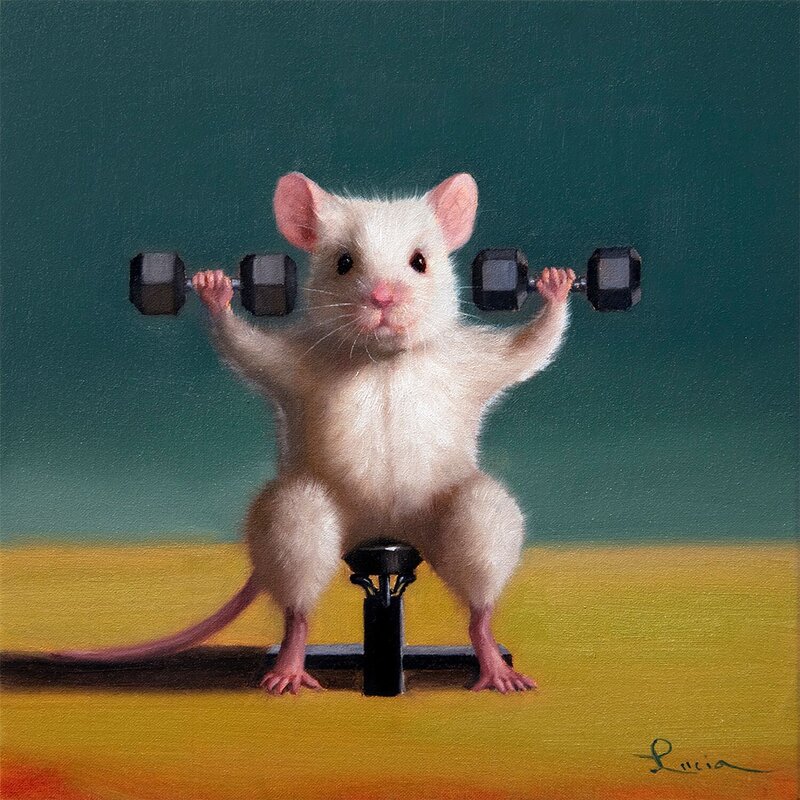 Gym Rats by Lucia Heffernan Canvas Wall Art -  Portugal