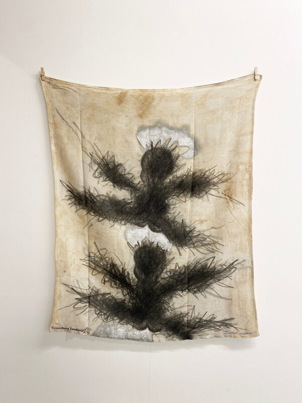 Work by Rosemberg Sandoval