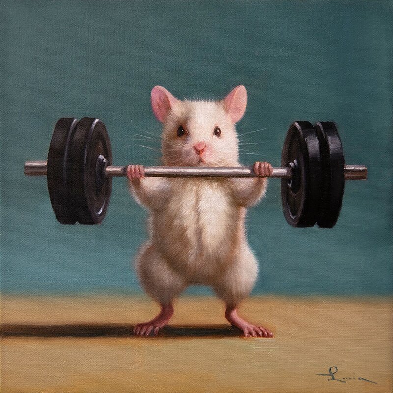 Gym Rats by Lucia Heffernan Canvas Wall Art -  Portugal