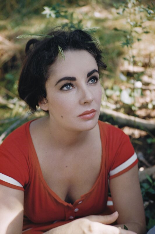 elizabeth taylor red dress NP_PE_ET018 : Elizabeth Taylor