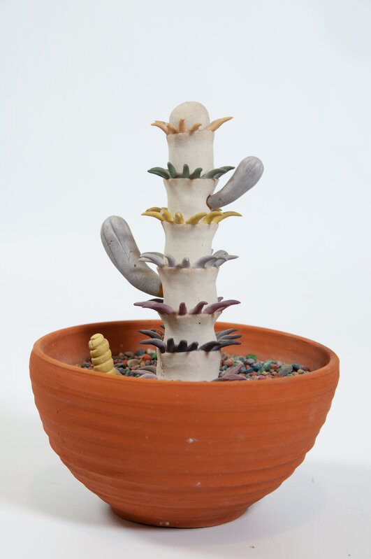 Tom Rippon Work Tom Rippon | Cactus (1974) | Artsy