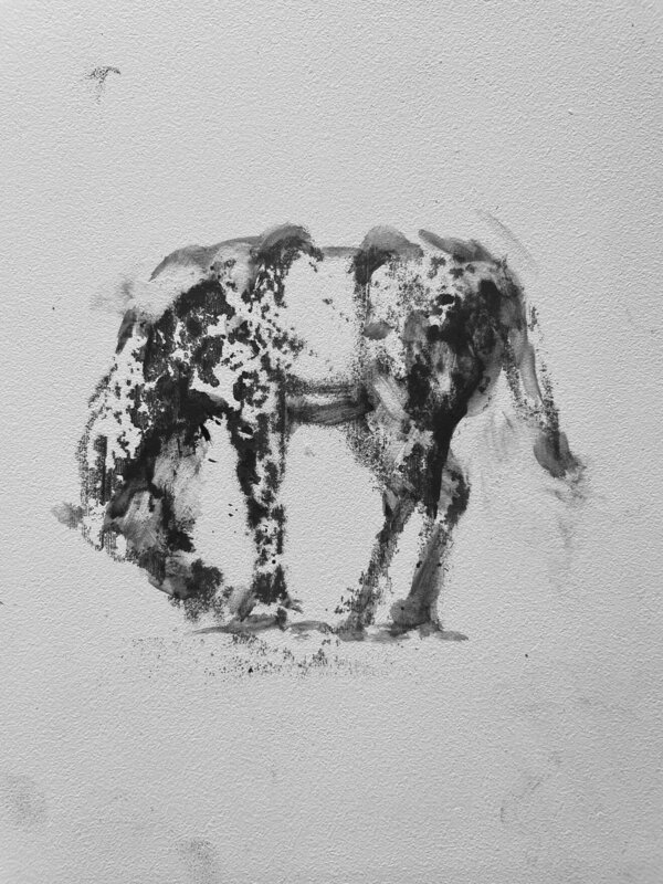 Alex Rothman Artist Alicia Rothman | Stoli (2022) | For Sale | Artsy