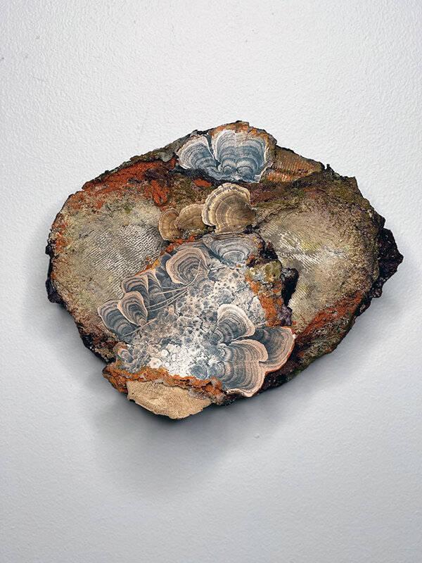 Susan Rostow | Fungi In The Middle (2019) | Available for Sale | Artsy