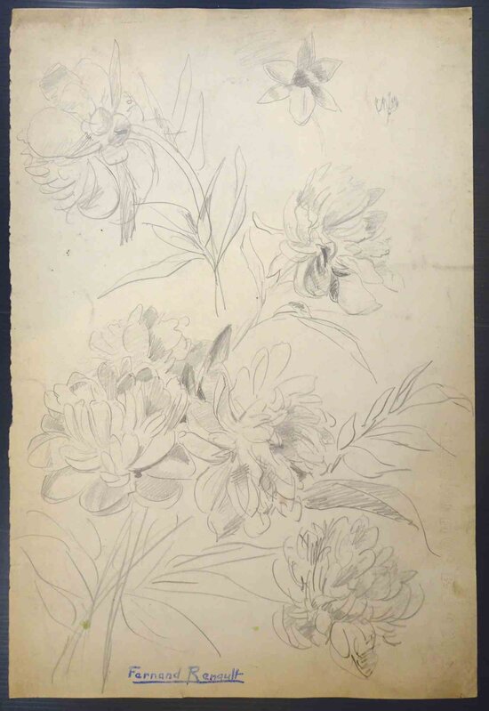 Albert FernandRenault Flowers (1950s) Available for Sale Artsy