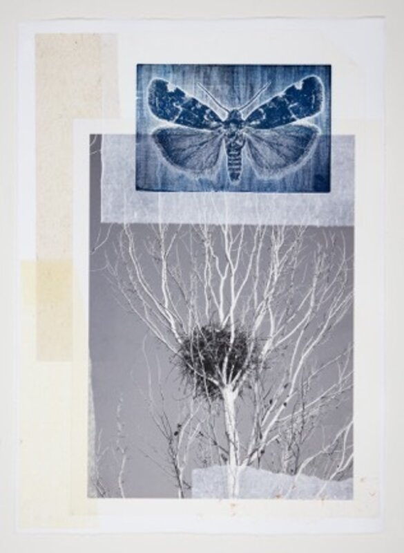 Joseph Scheer | Magpie Nest and Blue Moth (2019) | Available for Sale ...