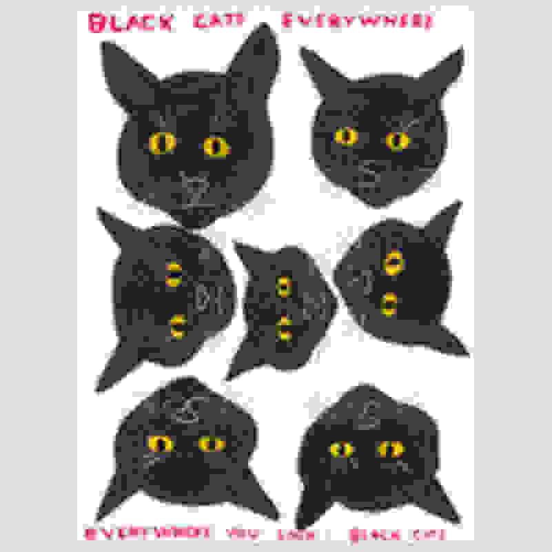 135 Black Cat Names from Classic to Crazy
