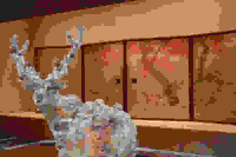 Kohei Nawa | Installation view of PixCell-Deer#24 (2011) | Artsy