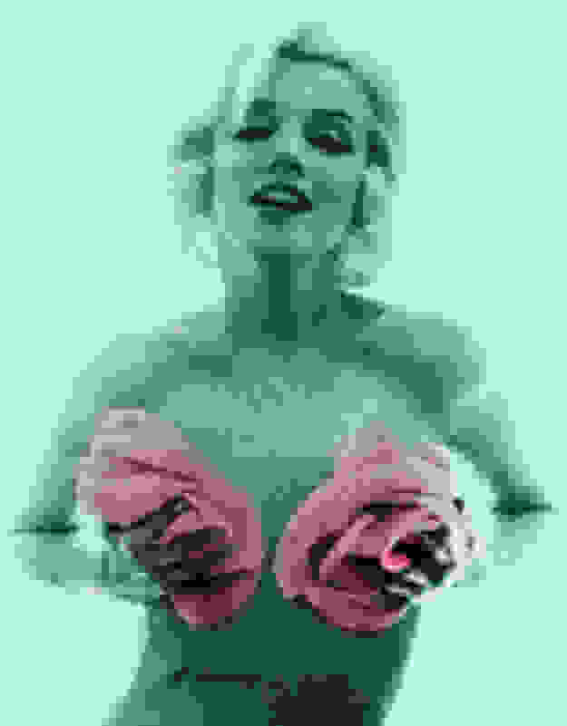 Bert Stern, Marilyn Monroe with pink roses, from The Last Sitting for  Vogue (1962)