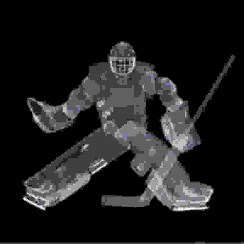 Source 2023 Custom professional goalie cut sublimated Ice Hockey