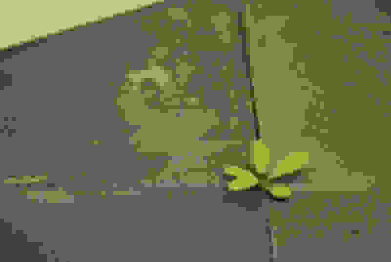 Yoshihiro Suda Weed 17 Artsy Yoshihiro Suda Weed 17 Artsy