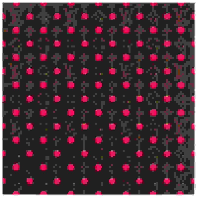 Louis Vuitton Black Pink Takashi Murakami Monogram