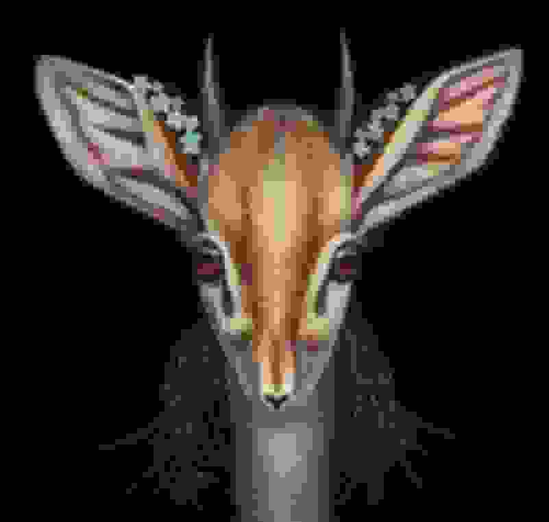 Jean Pierre Arboleda Dik-Dik (2017) Artsy - Main Image