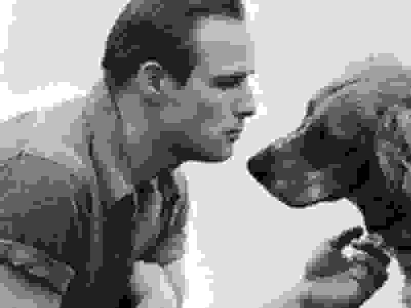 Art Shay | Brando and His Dog, 1950 (ca. 2017) | Artsy