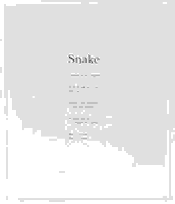 Snake (1998)
