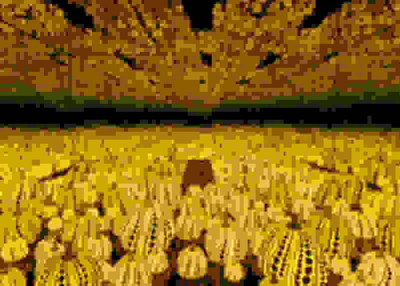 Yayoi Kusama | Infinity Mirrored Room—All the Eternal Love I Have