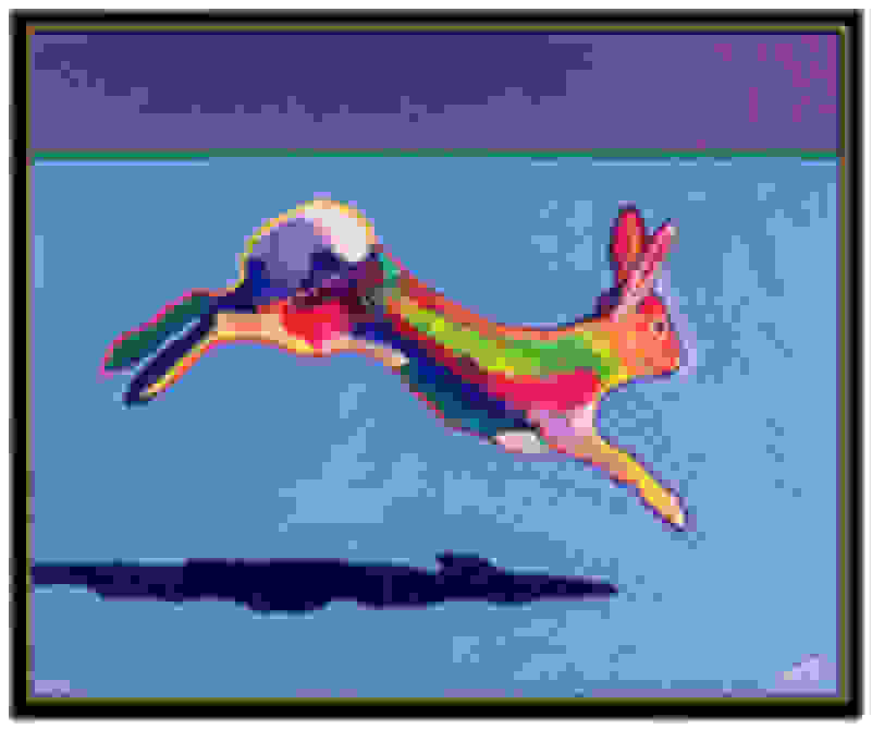 John Nieto | Swifter (Rabbit) (2002) | Artsy