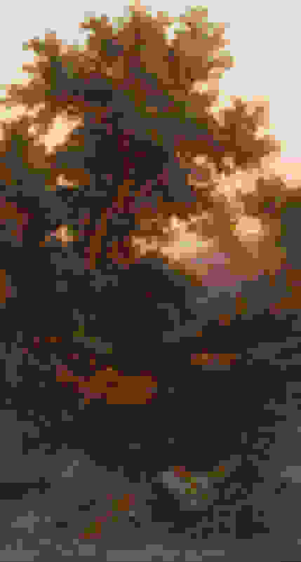 Ferdinand Bellermann Untitled (Undated) Available for Sale Artsy