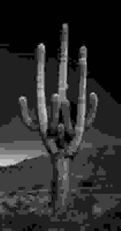 Jose Pereyra Lucena SER*ES V (2021) Available for Sale Artsy