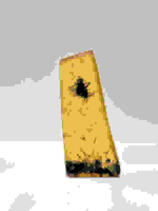 Charles Degeyter Resin Specimen (09) (2022) Artsy