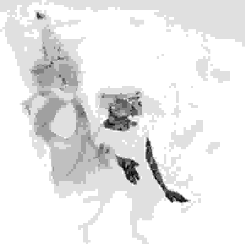 Michael Pittman Within the veil (2016) Available for Sale Artsy