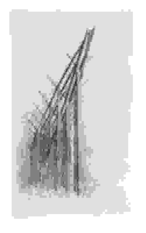 Small Stackhouse Robert Stackhouse | Sources and Structures (five works) (1989) | Artsy