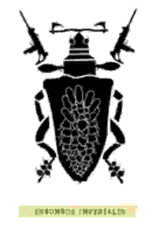 Jane Insect Jane Rainwater | Insect Insurrection: Spotted Beetle (2017) | Available ...