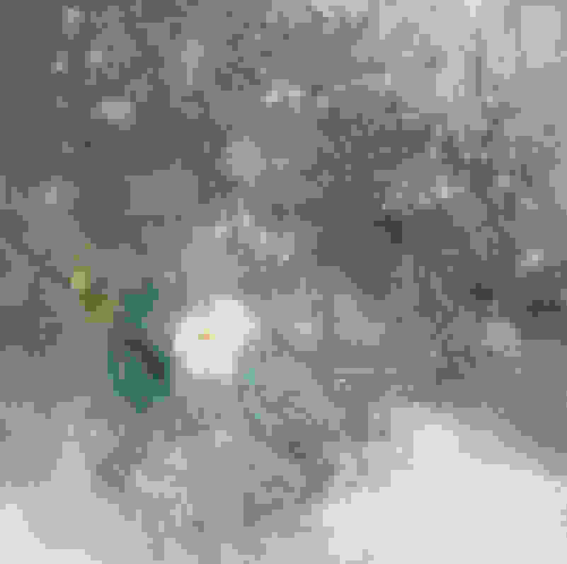 Li Rui 李瑞 | BiMuLa (2014) | Artsy