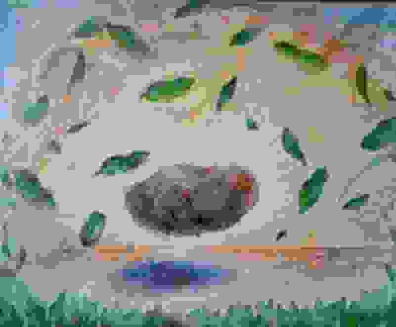 Ilda Fuchshuber Falacio | An instant before (2023) | Available for Sale ...